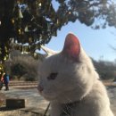 (주)투닷 이미지