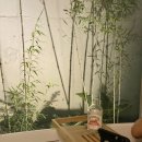 야소디디 이미지