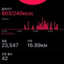 명동철물 | 집 공사로 집 안에 갇힌 33시간, 집밥 만들어 먹기, 명동 철물점