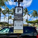 파라다이스 코브 이미지