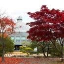 곤지암도자공원 이미지