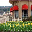 포시즌 봄 이미지