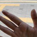 비가오면두정점 | 같은 실수를 반복하는 사람