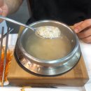 솔바람야영장 | 태백 가족 여행 코스 추천 맛집 솔바람물소리