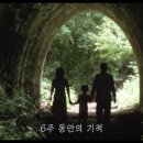 지금 만나러 갑니다 이미지