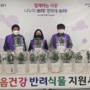동백식품 이미지