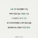 바움SMP