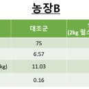 돈수농장 네이버블로그
