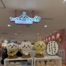 6997 | [ 일본여행 - 나고야 ] 나고야 쇼핑 가볼만한 곳 파르코 치이카와랜드, 포켓몬센터, 짱구팝업 방문 후기