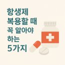 참약국 이미지