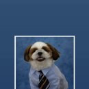 취향저견 이미지