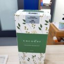 무덕태권도 이미지