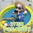로아캣 | [29개월 1~2주 육아일기] 유아식기록 다이소미니풀장 고양스타필드