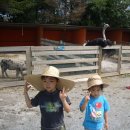 손주들농장 이미지