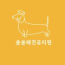 쏭쏭애견유치원 이미지
