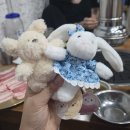 병영뽑기방 네이버블로그