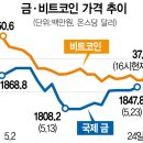 뉴스/신문 브리핑(2022년 5월 25일) 이미지