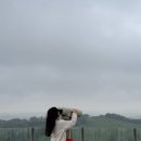 향원목장 네이버블로그
