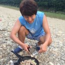 고드래미관광농원 | [8.16~17] 강원도 홍천 오토캠핑 후기 & 춘천 통나무집 닭갈비, 쟁반막국수