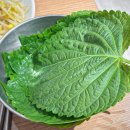 고봉이네 | [응암역 맛집] 혼밥하기 좋은 고봉이 두루치기 응암본점 내돈내산 후기