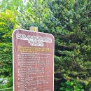 부천 남부수자원생태공원 우연히 들른 숨은 산책 명소