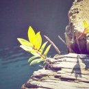 허리 좌골신경통: 원인, 증상, 그리고 효과적인 치료 방법 이미지