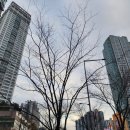 엑슬루약국 이미지