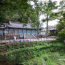 고란약수 이미지