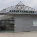 곡성-181 네이버블로그