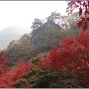 산운수석 이미지