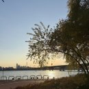 GS25 망원희망점 | 서울 가볼만한 곳 | 한강버스(망원~여의도) 탑승 시간표, 포토존, 요금 등 상세 후기 찐 꿀팁