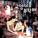 아프니까 청춘이다 &lt;고양이를 부탁해(Take Care Of My Cat)&gt; 한국 영화 소개, 정보, 줄거리, 후기