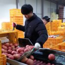 안덕유통 이미지