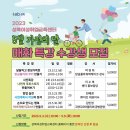 앙금플라워 장미 카네이션 앙금쿠키 만들기