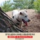 고센 농장 이미지