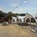 별빛숲캠핑바베큐 | 강화 별빛숲캠핑바베큐 당일치기 글램핑