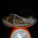 서천프린스 이미지