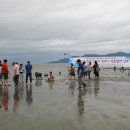 반도염색