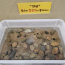 창녕생태곤충원 이미지