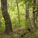 삼승자원 이미지