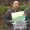 [일상] 11월 기록 : 무도와 함께하는 홍홍이 일상 (숙취 주의) ୧( “̮ )୨✧