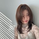 진헤어사랑 이미지
