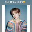 유시 이미지