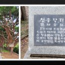 동농 | 진경산수화길 백운동천 백운장