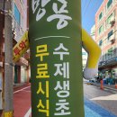 여수여행선물 추천 방풍수제생초콜릿 여수특산품