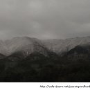 해맞이식당 이미지