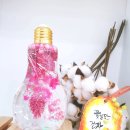 하바플라리움 - 진주시 새들말로68번길 10-6 | 하바플라리움&석고방향제 수업 후기