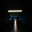 빅월드 번역행정사 | 서울 롯데뮤지엄 베르디VERDY : I Believe in Me 전시 후기 및 굿즈 재고