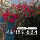 동로작은도서관 | 서울식물원 아이랑 주말 나들이 | 온실·체험·주제원 총정리 (+주차·기프트샵·독서공간)