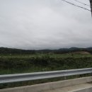 양양 포매리 백로와 왜가리 번식지 | 양양 포매리 백로와 왜가리 번식지... 천연기념물 제229호... 조규승가옥은 덤으로...